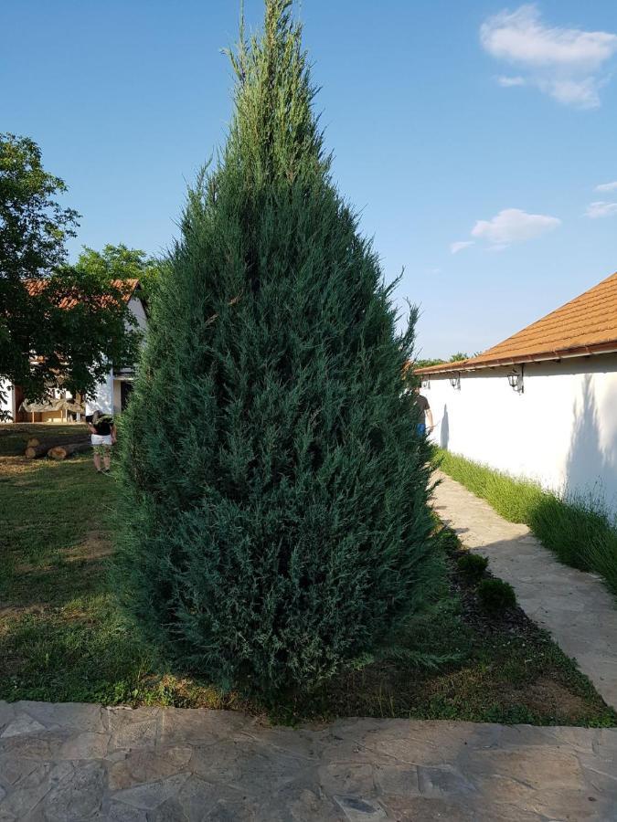 Vikendica Lesic Villa Cortanovci Exterior photo